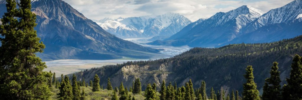 Who We Are 1024x341 1